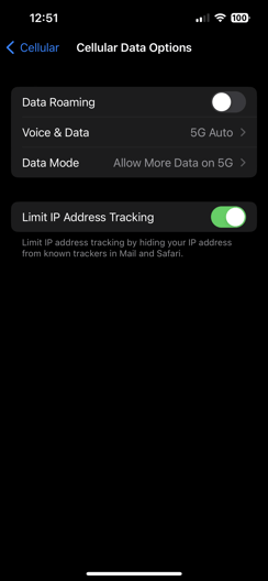 ios data roaming enable
