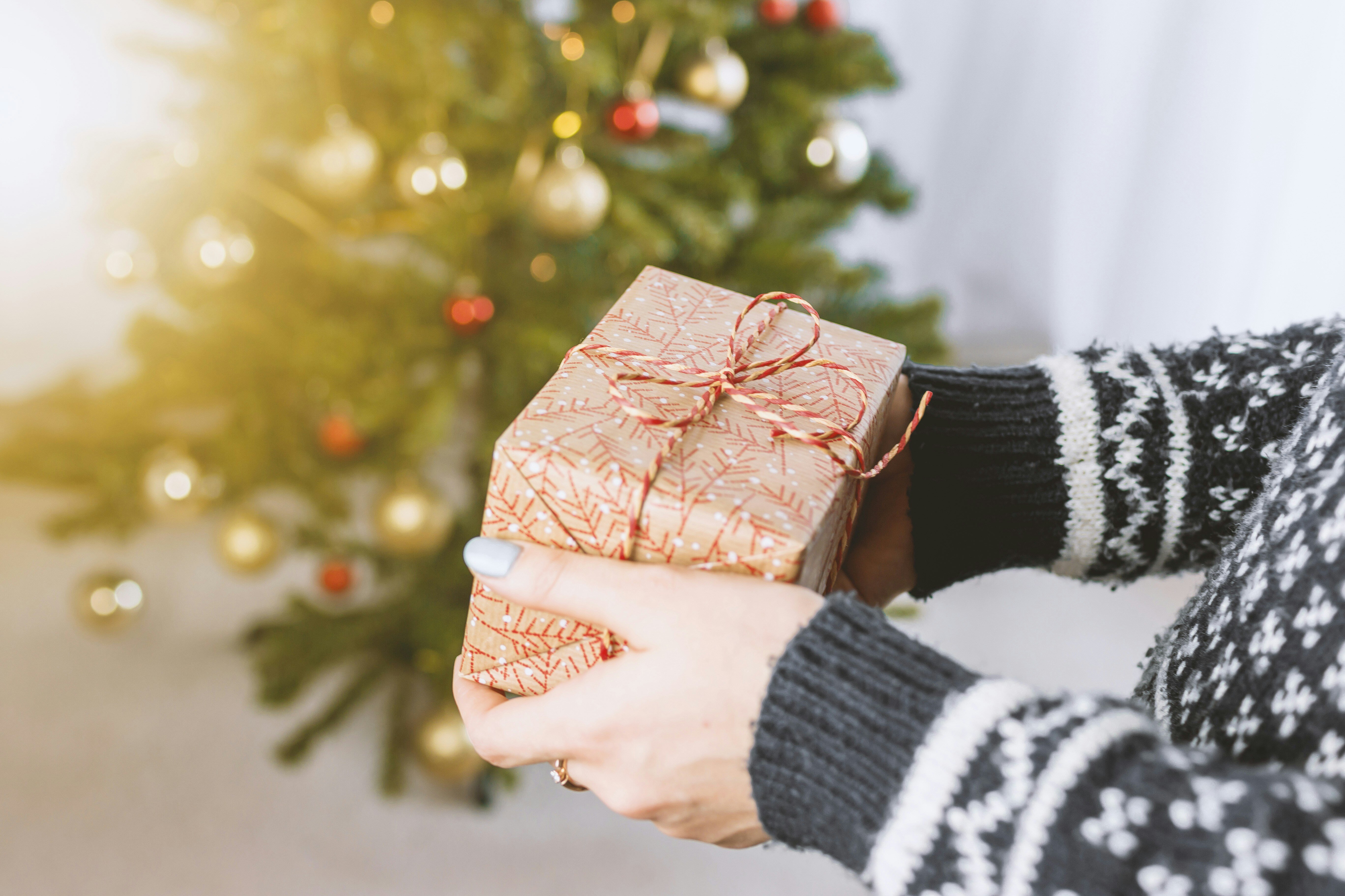 A person's hands holding a gift in front of a Christmas tree.